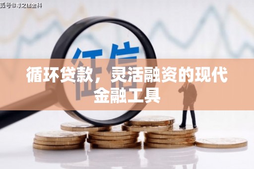 宿松循环贷款，灵活融资的现代金融工具