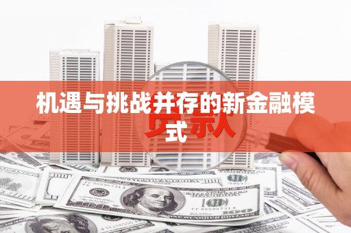 宿松机遇与挑战并存的新金融模式