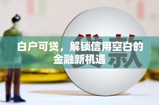 宿松白户可贷，解锁信用空白的金融新机遇