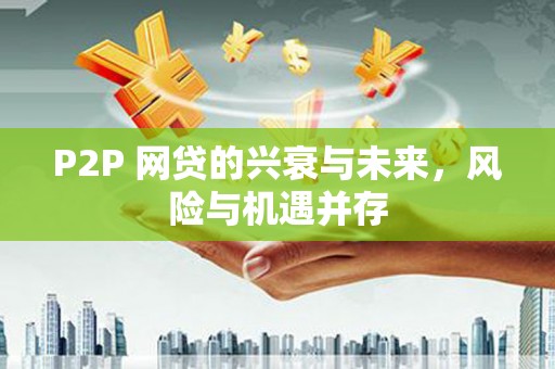 宿松P2P 网贷的兴衰与未来，风险与机遇并存