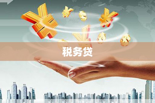 宿松税务贷