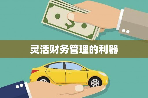 宿松灵活财务管理的利器
