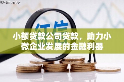 宿松小额贷款公司贷款，助力小微企业发展的金融利器