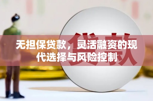 宿松无担保贷款，灵活融资的现代选择与风险控制