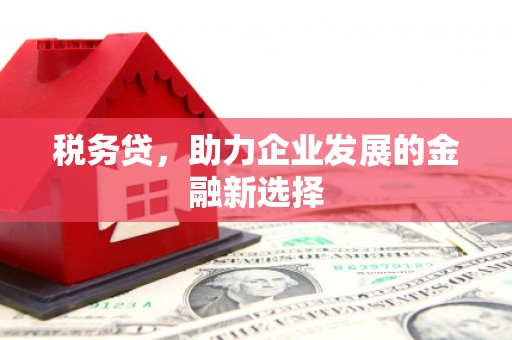 宿松税务贷，助力企业发展的金融新选择