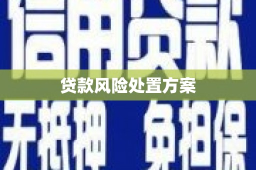 宿松贷款风险处置方案