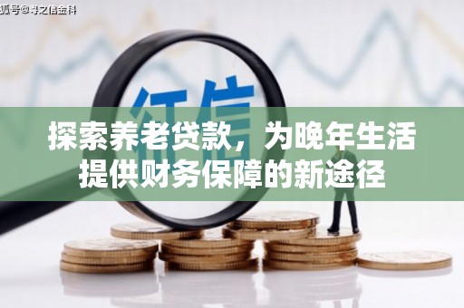 宿松探索养老贷款，为晚年生活提供财务保障的新途径