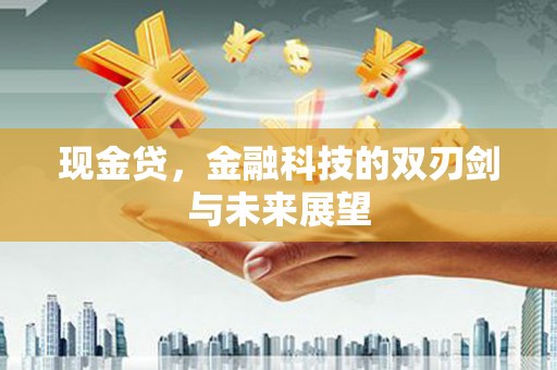 宿松现金贷，金融科技的双刃剑与未来展望