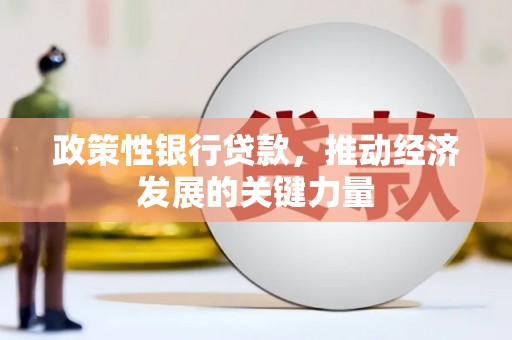 宿松政策性银行贷款，推动经济发展的关键力量