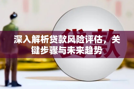 宿松深入解析贷款风险评估，关键步骤与未来趋势