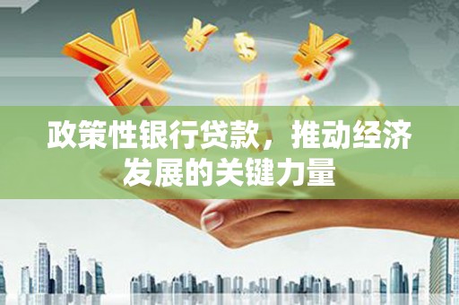宿松政策性银行贷款，推动经济发展的关键力量