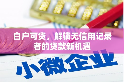 宿松白户可贷，解锁无信用记录者的贷款新机遇