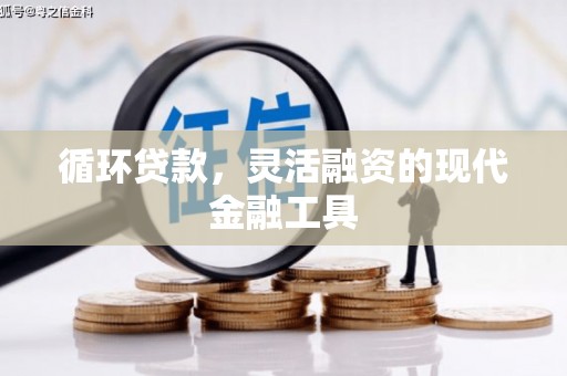 宿松循环贷款，灵活融资的现代金融工具
