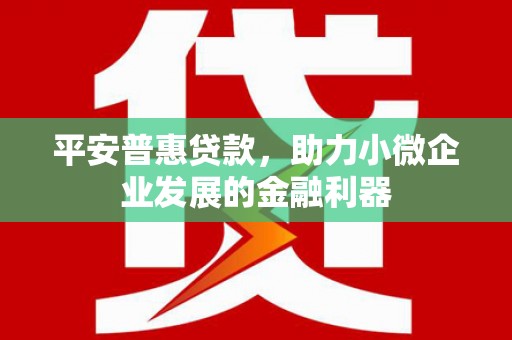 宿松平安普惠贷款，助力小微企业发展的金融利器