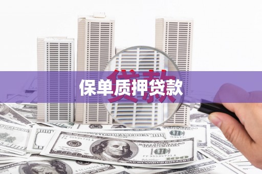 宿松保单质押贷款