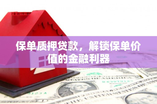 宿松保单质押贷款，解锁保单价值的金融利器