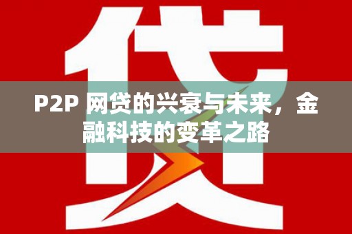 宿松P2P 网贷的兴衰与未来，金融科技的变革之路