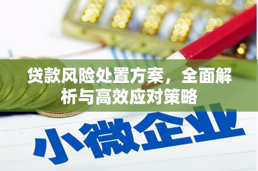 宿松贷款风险处置方案，全面解析与高效应对策略