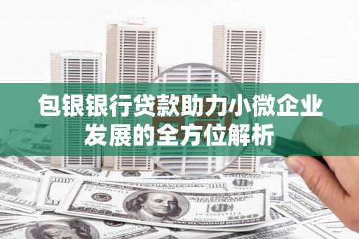 宿松包银银行贷款助力小微企业发展的全方位解析