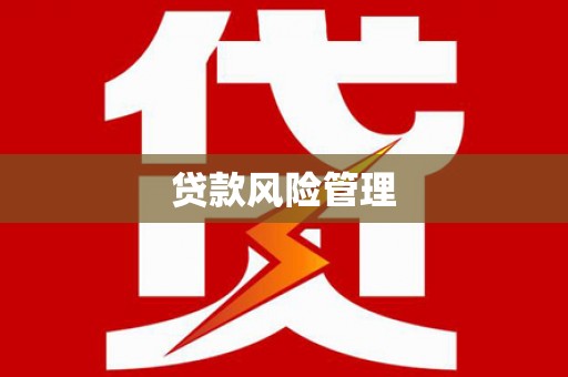 宿松贷款风险管理