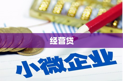 宿松经营贷