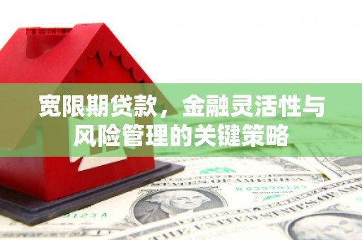 宿松宽限期贷款，金融灵活性与风险管理的关键策略