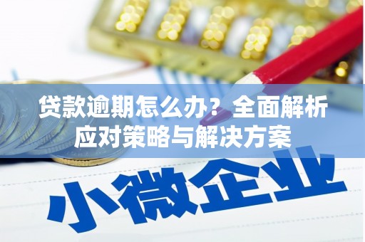 宿松贷款逾期怎么办？全面解析应对策略与解决方案