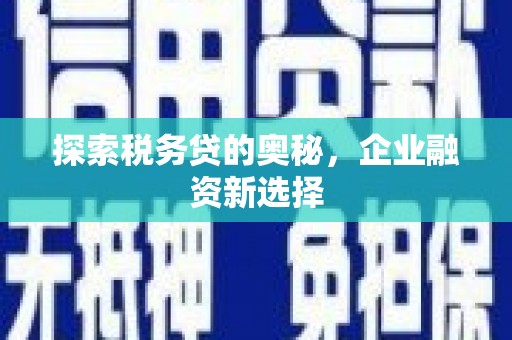 宿松探索税务贷的奥秘，企业融资新选择
