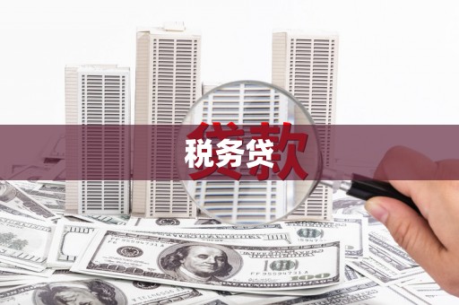 宿松税务贷