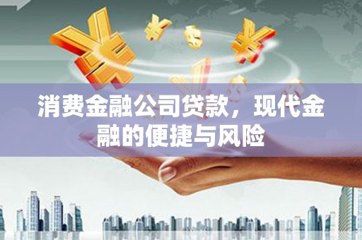 宿松消费金融公司贷款，现代金融的便捷与风险