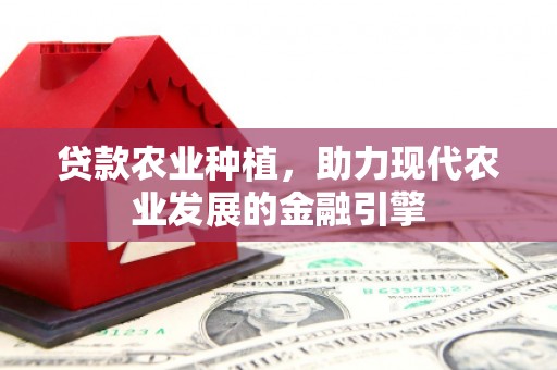 宿松贷款农业种植，助力现代农业发展的金融引擎