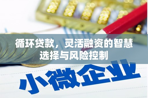 宿松循环贷款，灵活融资的智慧选择与风险控制