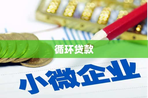 宿松循环贷款