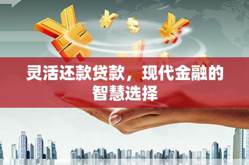 宿松灵活还款贷款，现代金融的智慧选择