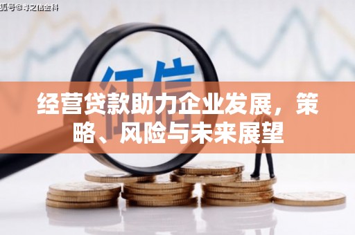 宿松经营贷款助力企业发展，策略、风险与未来展望