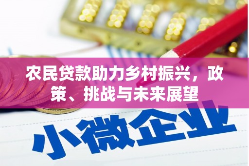 宿松农民贷款助力乡村振兴，政策、挑战与未来展望