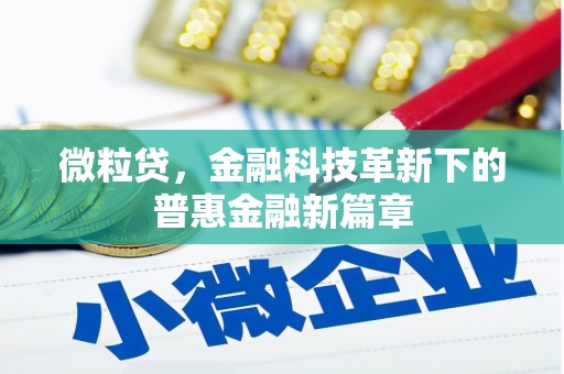 宿松微粒贷，金融科技革新下的普惠金融新篇章