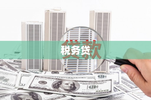 宿松税务贷