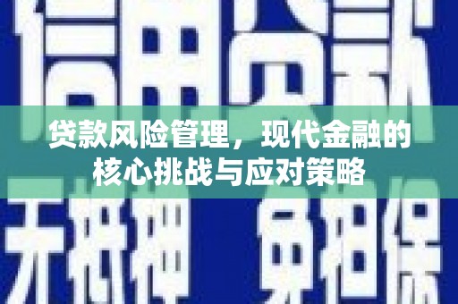 宿松贷款风险管理，现代金融的核心挑战与应对策略