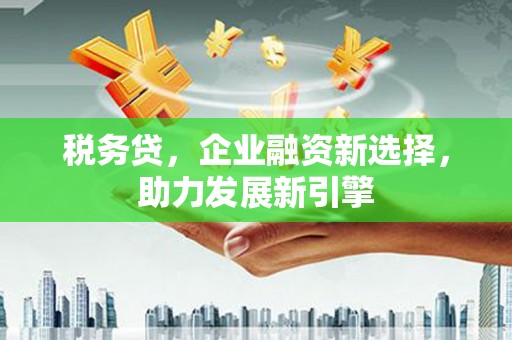 宿松税务贷，企业融资新选择，助力发展新引擎