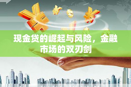 宿松现金贷的崛起与风险，金融市场的双刃剑
