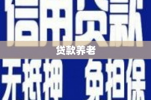 宿松贷款养老