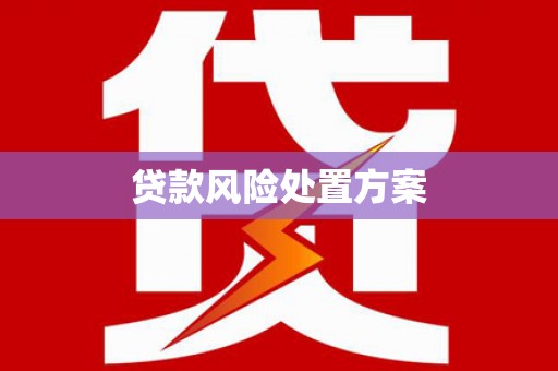 宿松贷款风险处置方案