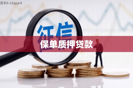 宿松保单质押贷款