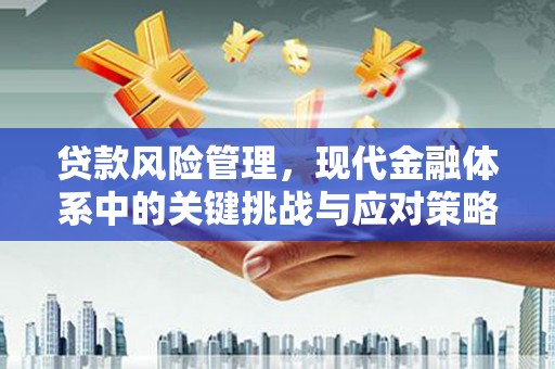 宿松贷款风险管理，现代金融体系中的关键挑战与应对策略