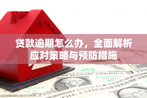 宿松贷款逾期怎么办，全面解析应对策略与预防措施