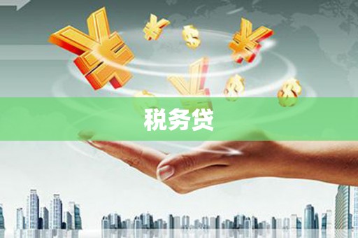 宿松税务贷