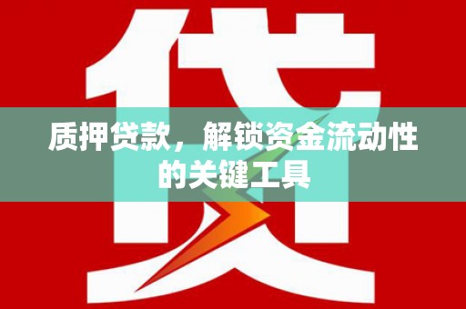 宿松质押贷款，解锁资金流动性的关键工具
