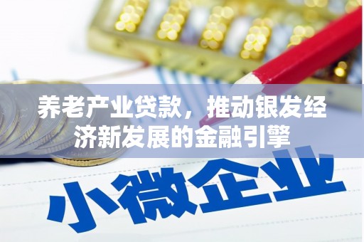 宿松养老产业贷款，推动银发经济新发展的金融引擎