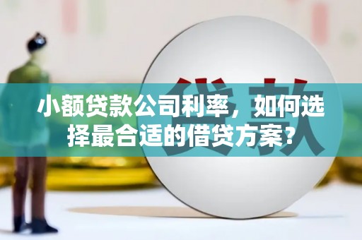 宿松小额贷款公司利率，如何选择最合适的借贷方案？